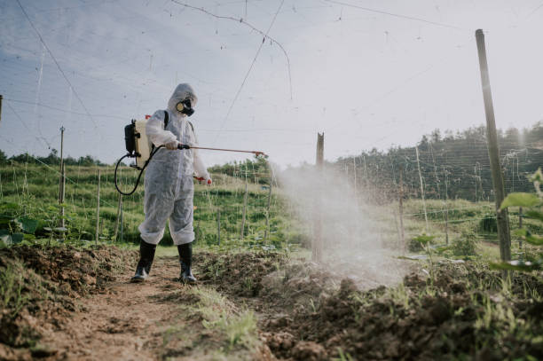 Best Wasp Removal Services  in Philomath, OR