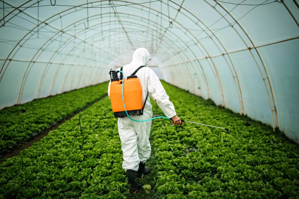 Best Residential Pest Control  in Philomath, OR