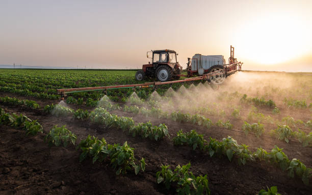 Reliable Philomath, OR Pest Control Solutions