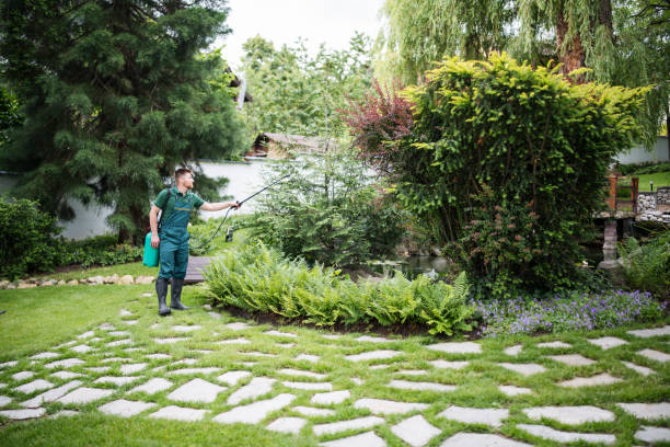 Best Emergency Pest Control  in Philomath, OR