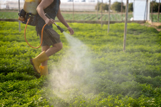 Best Exterminator Services  in Philomath, OR