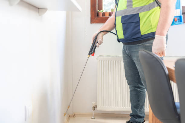 Flea Control Services in Philomath, OR